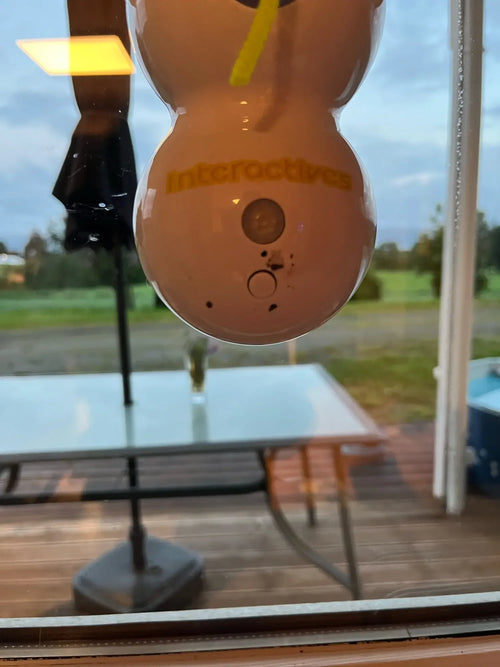 Jouet PurrSpin – Transformez l’Ennui en Plaisir de Chasse — photo d'un client 3